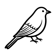 رمان