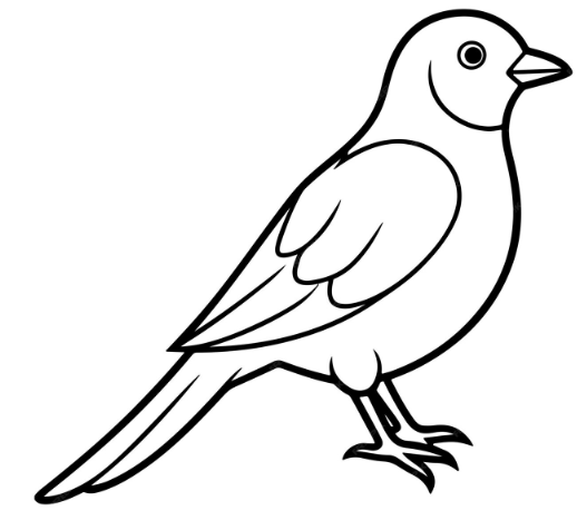 علوم اجتماعی